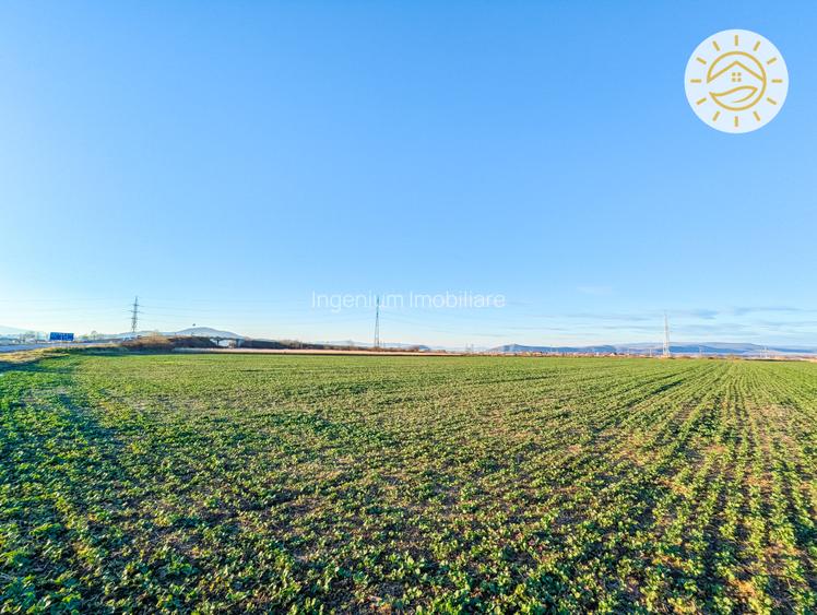 Teren intravilan 22800mp la 2km de Parcul Industrial Prejmer - 3