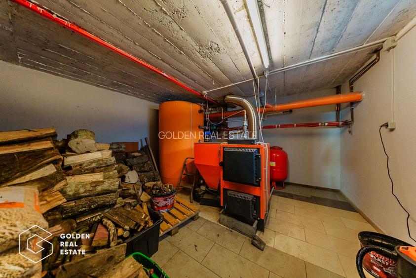 Proprietate pretabila pentru afacere, Cladova - 30