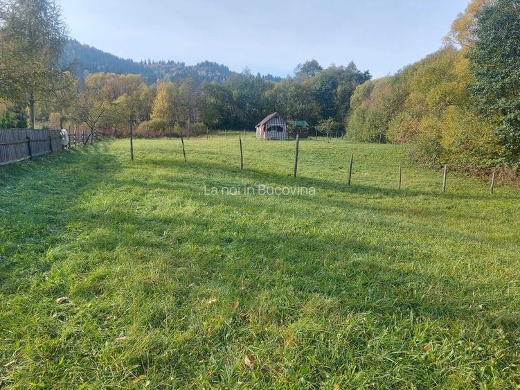 Spre vanzare teren 3662 mp in Campulung Moldovenesc - 6