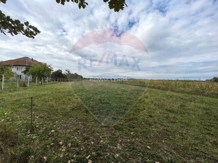 Teren 3,685mp Somcuta Mare / Strada Mocirii - 4