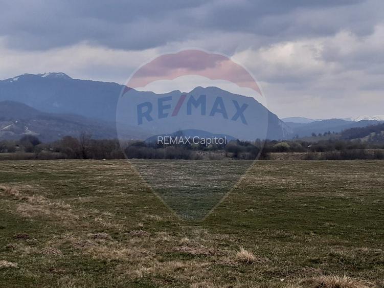 Teren 10,000mp Rasnov / Drumul Panicel - 8