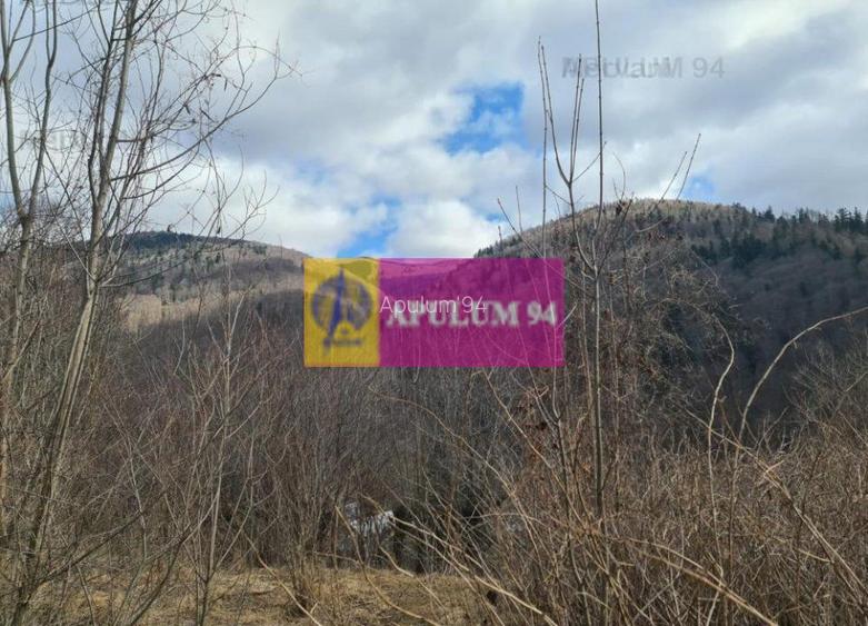 Teren de vânzare în Sinaia - Platou Izvor - 11