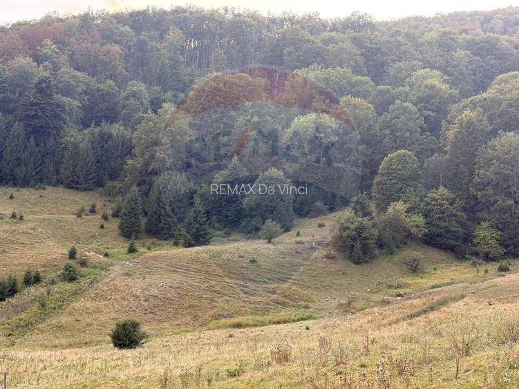 TEREN EXCLUSIV PENTRU INVESTIȚIE ÎN ZONĂ DE AGREMENT – BRAȘOV, DN 1E - 7