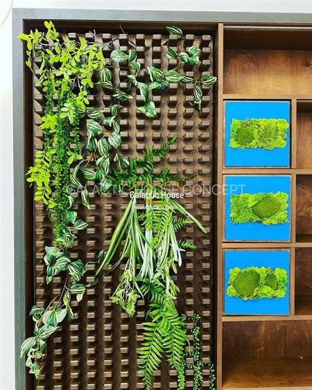 APARTAMENT 4 CAMERE UNIVERSITATE   INTERCONTINENTAL  METROU-150 MP - 12