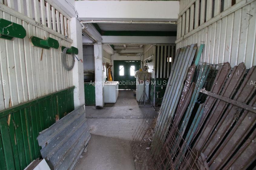 Vand ferma agricola jud. Galati -150.000 euro - 6