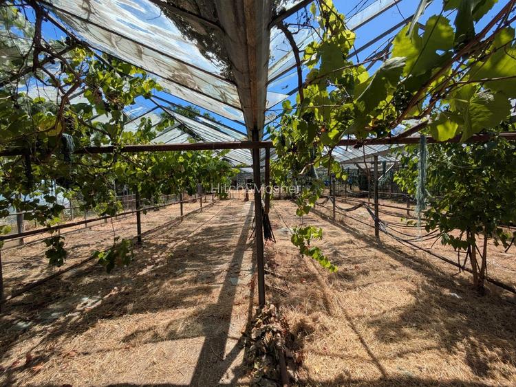 Casa cu teren de 1511 mp - Ortisoara - Comision 0% - 3