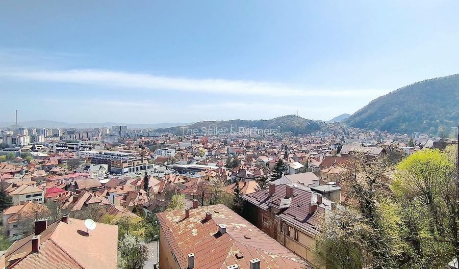 Priveliste Panoramica Spre Oras Si Masivul Tampa - 7