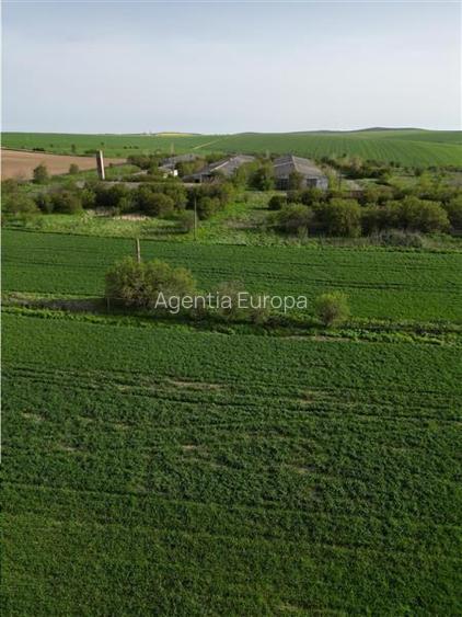 Ferma de vanzare in localitatea Bestepe - 4