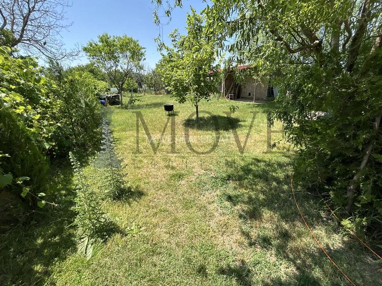 BELCIUGATELE- Casă de vacanță sau locuință permanentă - 32