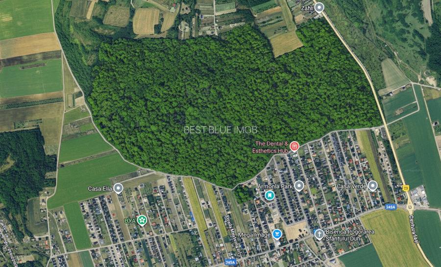 Vila  langa padure, 173 mp total,  735 mp teren,  mobilata/utilata, Miroslava - 7