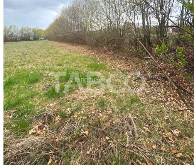 Teren intravilan pentru casa zona linistita 550 mp front 21 m Cisnadie - 5