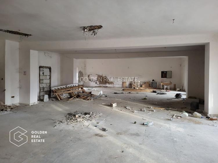 Proprietate tip conac, teren 4468 mp, oras Lipova - 6