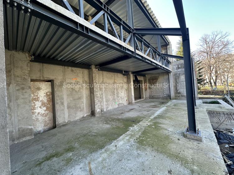 Proiect deosebit zona Medicina / Isho - 20