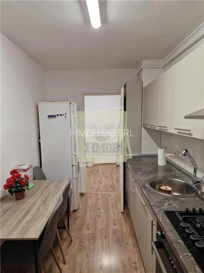 Apartament 3 camere cu pivnita zona Terezian - 13
