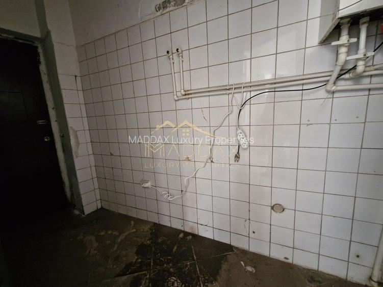 Spatiu Comercial ***223mp // Parcul Carol - 21