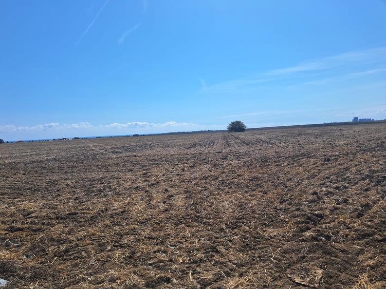 EXCLUSIVITATE! TEREN EXTRAVILAN -10.000 mp – COSTINEȘTI, SCHITU, ZONA RADAR