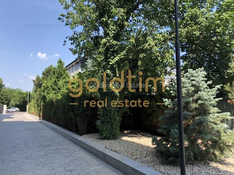 SUPERB/LUMINOS/IANCU NICULAE/TERASA GENEROASA/LINISTE - 14