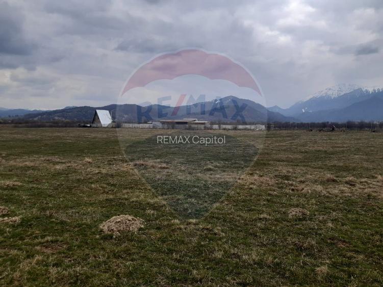 Teren 10,000mp Rasnov / Drumul Panicel - 2