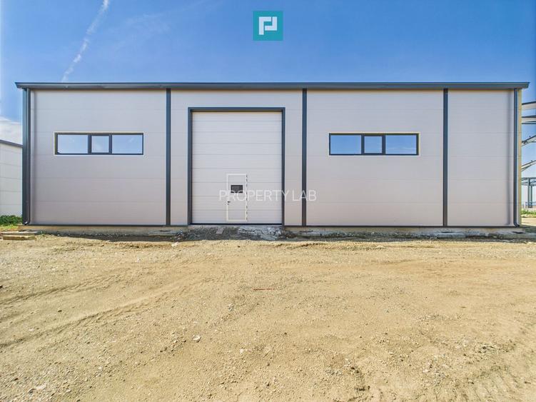 Hală industrială în zona Giarmata – Timiș - 10