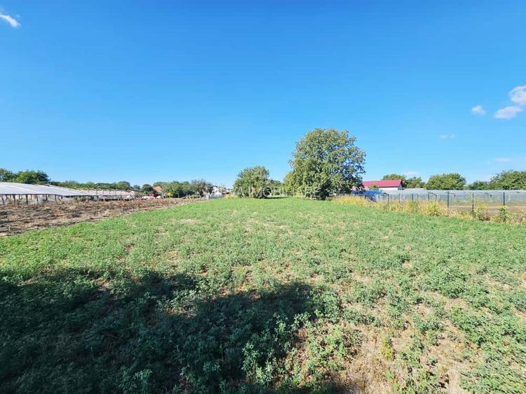 Teren intravilan 1.585 mp, cu utilități la hotar –Gherghița–Ungureni - 6