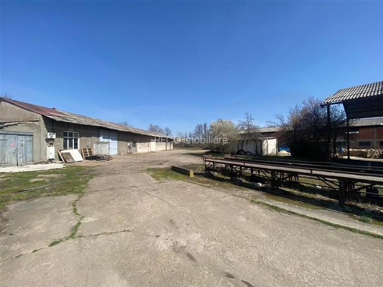 RECO hale cu teren generos Salonta - 6