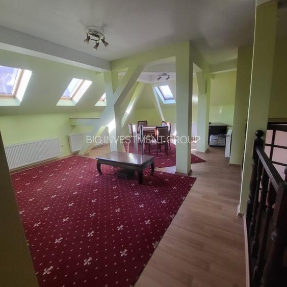 Vila boiereasca, superba, strada, linistita, nelipita de vreun alt imobil - 27