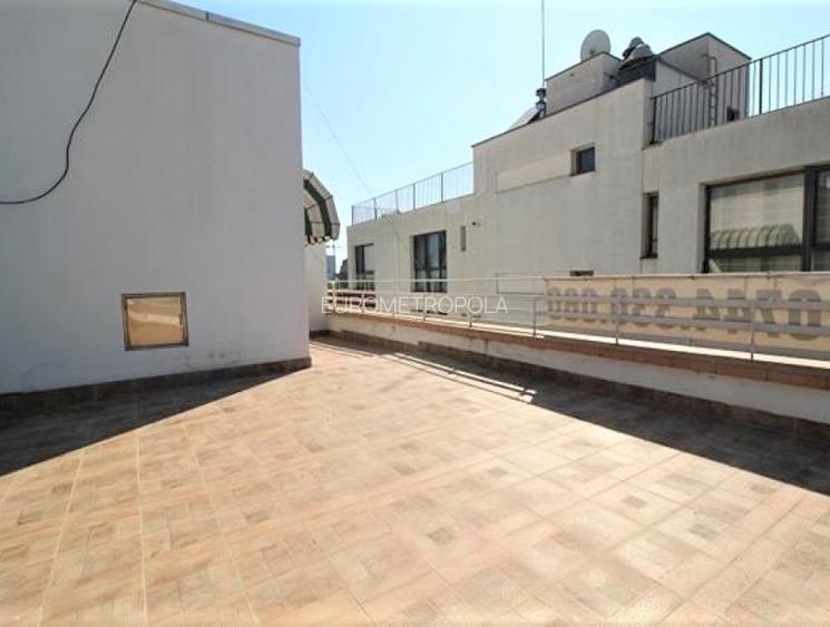 Penthouse 5 camere Gradina Icoanei - 9