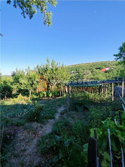 EXCLUSIVITATE! Casa+teren si cabana de lemn zona Naeni - 25