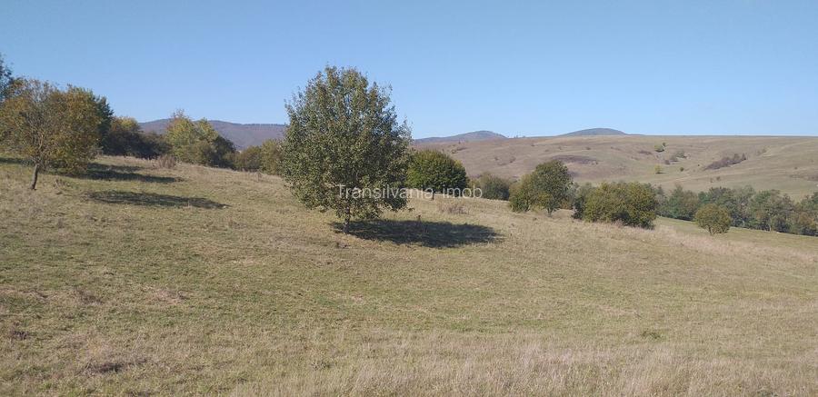 Teren Apata 0.8 euro/mp pretabil investitie - 5