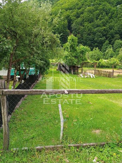 Casa batraneasca de vanzare, 4 camere, in Hunedoara, sat Micanesti - 41