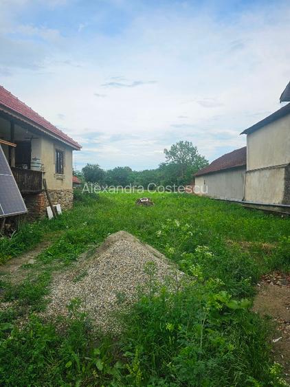 Casa Vanzare Stanesti 13 km de Târgu Jiu  - 3