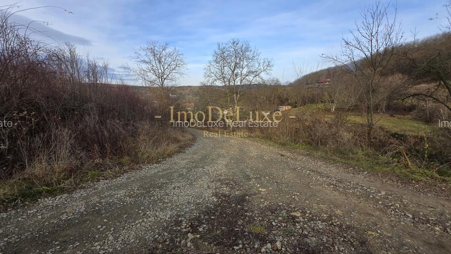 Teren extravilan langa lac, 8500mp, priveliste, acces, utilitati, zona Baciu - 8