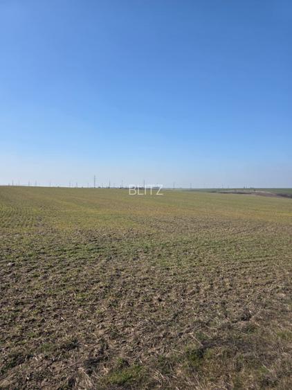 Teren Intravilan 7500mp Mischii - 3