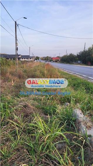 Vand teren intravilan si extravilan 54000 mp la DN7, deschidere 200 m - 3