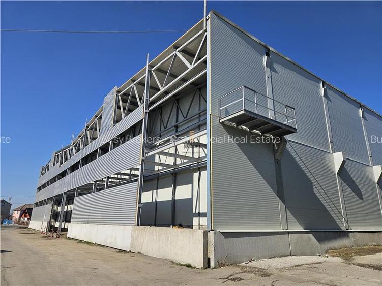 Spatiu Industrial - 4500 mp - Logistica - Depozitare - Productie - 8