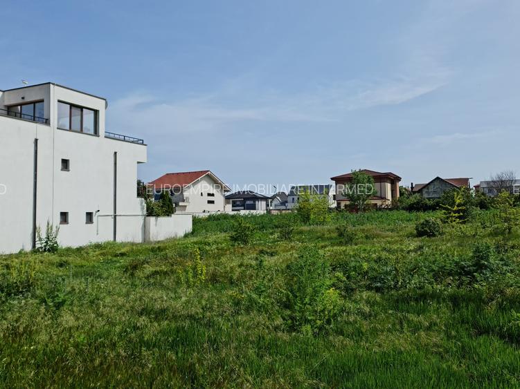 Teren de vanzare in Palazu Mare - 7