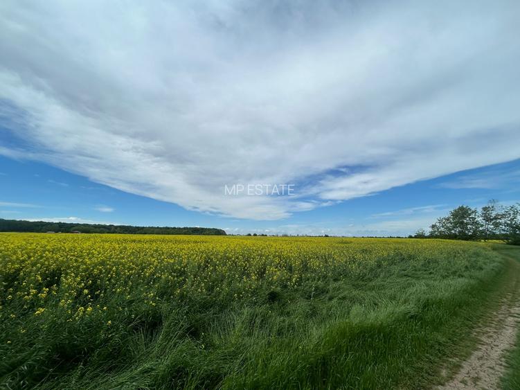 Teren pentru casă lângă pădure | 500 mp | Clinceni | Investiție excelentă - 2
