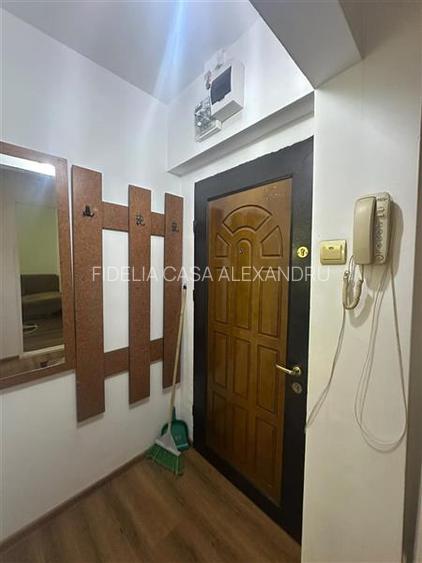 Apartament 2 camere, etaj intermediar, fara risc - Podul de Piatra - 11
