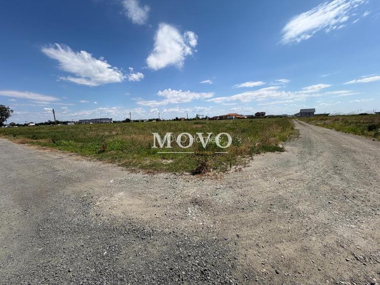 Terenuri in Sacalaz | Investitie | Spatiu comercial | Zona excelenta |