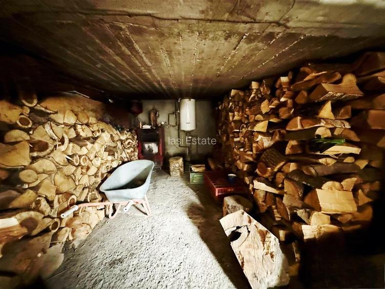 Casa de vanzare in Goruni-Tomesti - 11