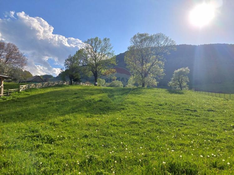 Teren 4,245mp Sirnea / Județul Brașov