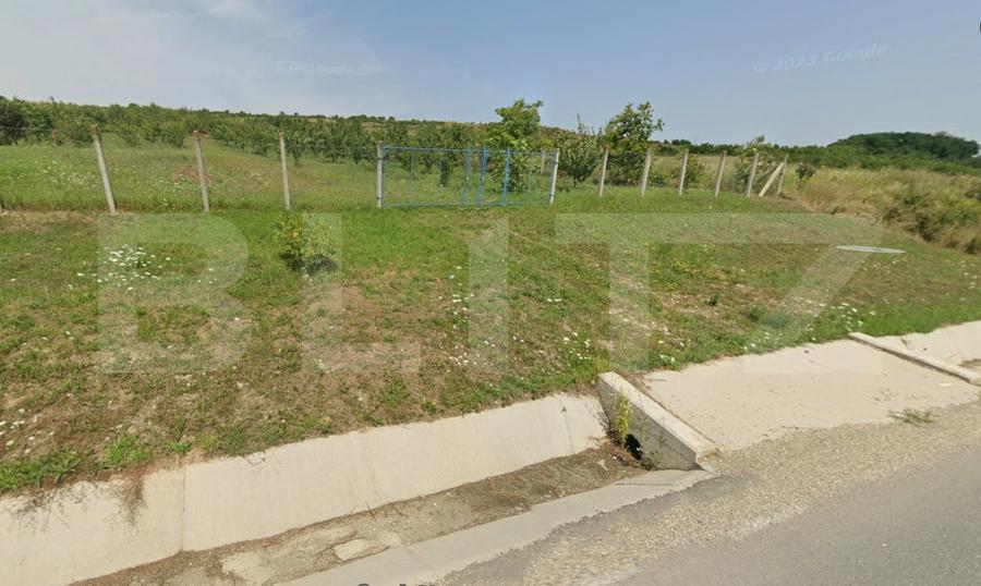 Teren intravilan - 4200 mp, parcelabil, construibil, cu livada, Răscruci