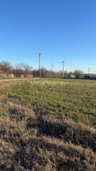 Vand teren Intravilan 1400 MP in Parcul National Comana - Vlad Tepes - Giurgiu - 3