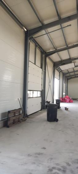 Module hale 120/240/360/480 mp Ciorogarla Autostrada +birou 22 mp