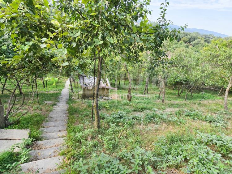 Teren intravilan 1600mp | Front 26m | Grigorescu | Zona strazii Donath