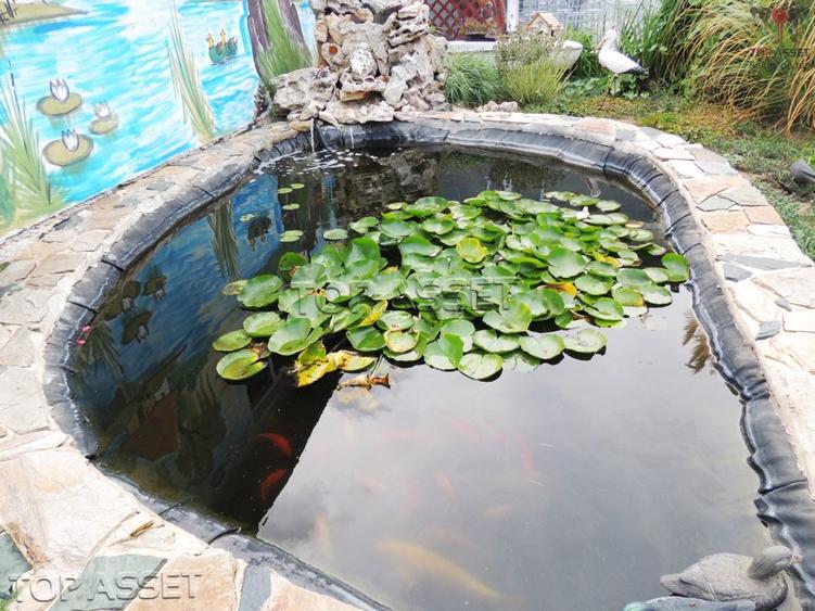 Ansamblu de proprietati in Costinesti