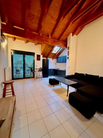 Apartament 1 camera, Open space, 36 mp utili - Dumbravita