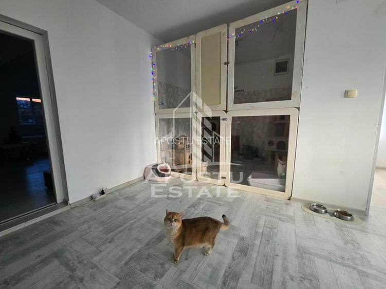 Casa individuala de vanzare, vatra satului Sag, teren de 1.800 mp, mobilata - 26