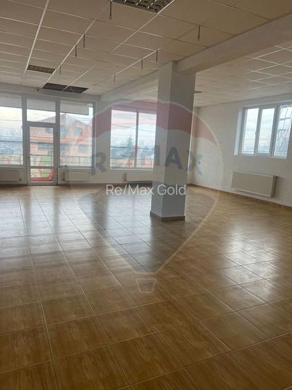 Casă / Vilă cu 11 camere de vânzare - 10