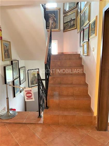 Arta si design in incantarea naturii, oportunitate rezidential/ turistic, Predea - 41